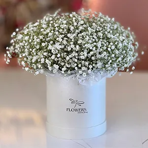 Bae Gypsophila Flower Box