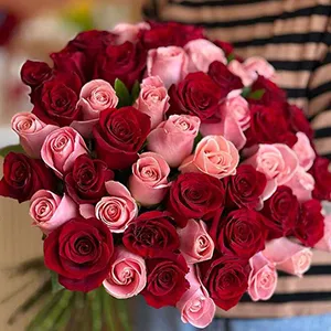 Red & Light Pink Roses
