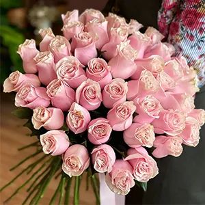 Light Pink Roses