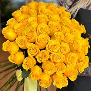 Yellow Roses