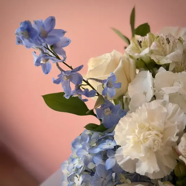 BELLA Delphinium & Hydrangea Flowers in Signature Vase
