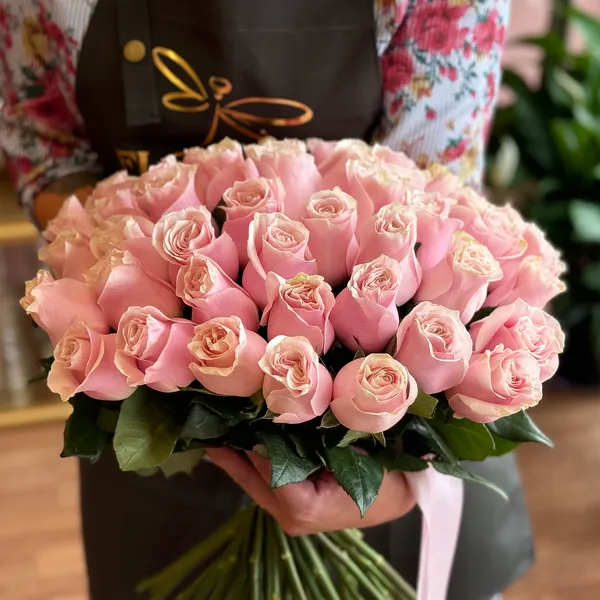 Light Pink Roses