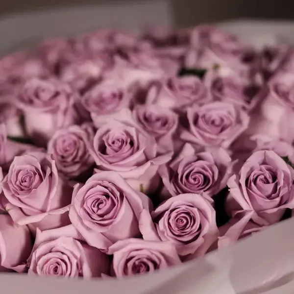 Lavender Long Stem Roses