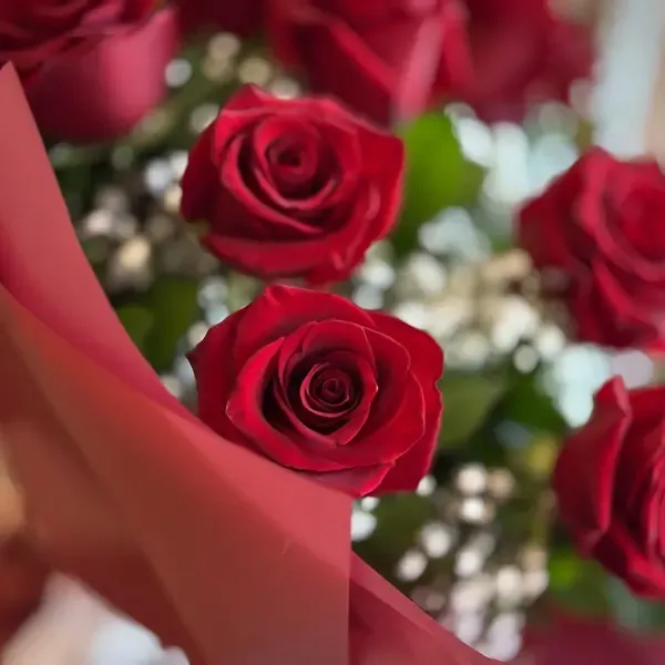 Red Roses & Baby Breath Flower Bouquet