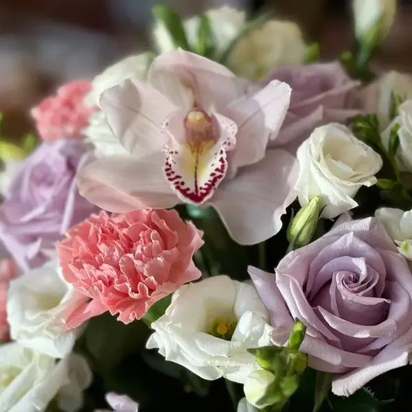 VIOLA Lavender Roses and White Lisianthus Flower Box