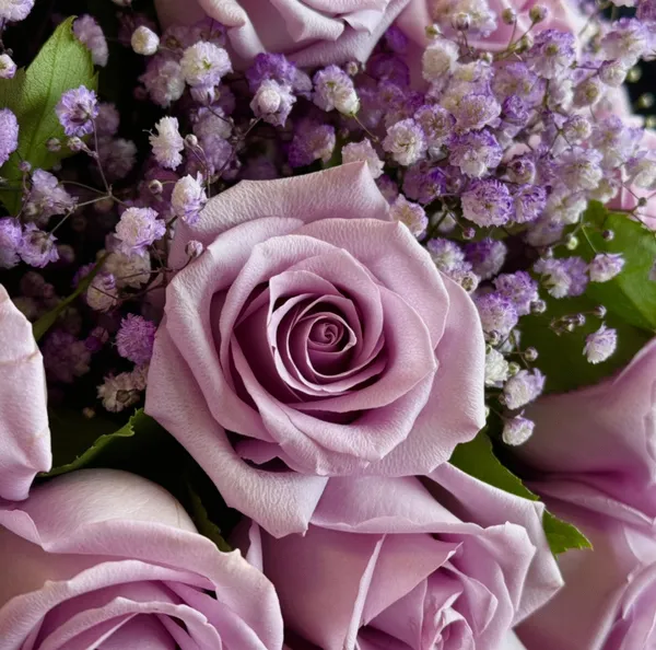 Victoria Lavender Roses & Baby Breath Flower Bouquet