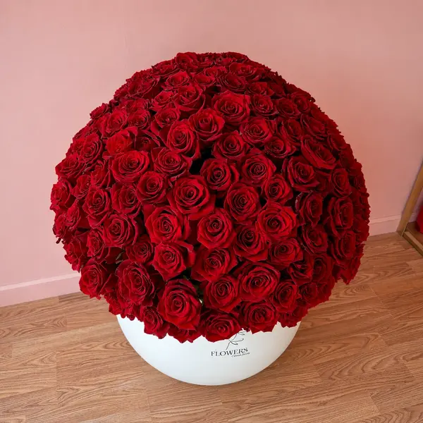 Wow Arrangement 300 red Roses in a Signature White Vase