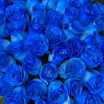Blue Roses Bouquet