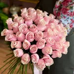 Light Pink Roses