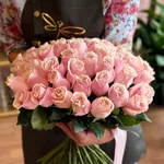 Light Pink Roses