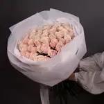 Light Pink Long Stem Roses