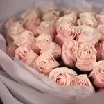 Light Pink Long Stem Roses