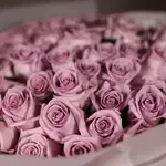 Lavender Long Stem Roses