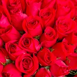 Red Roses Bouquet