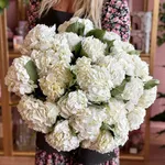 White Hydrangea Flower Bouquet