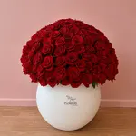 Wow Arrangement 300 red Roses in a Signature White Vase