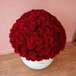 Wow Arrangement 300 red Roses in a Signature White Vase