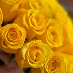Yellow Roses Bouquet